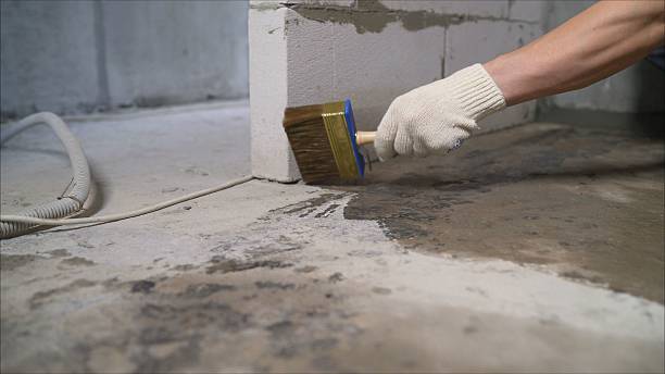 Top rated local Waterproofing specialists in Burlington, MI